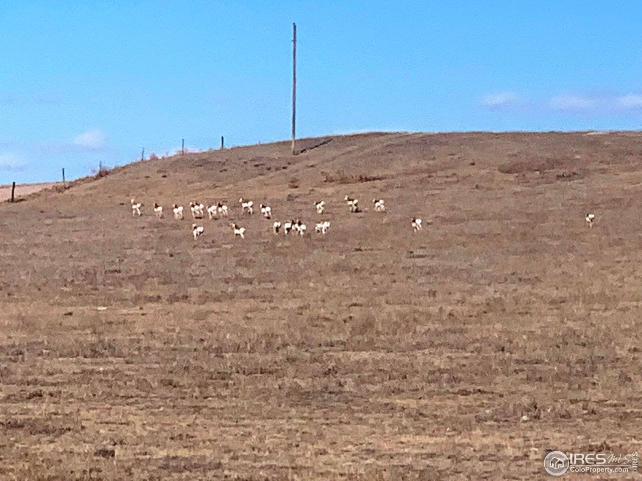 0 County Road 55, Ault, CO 80610