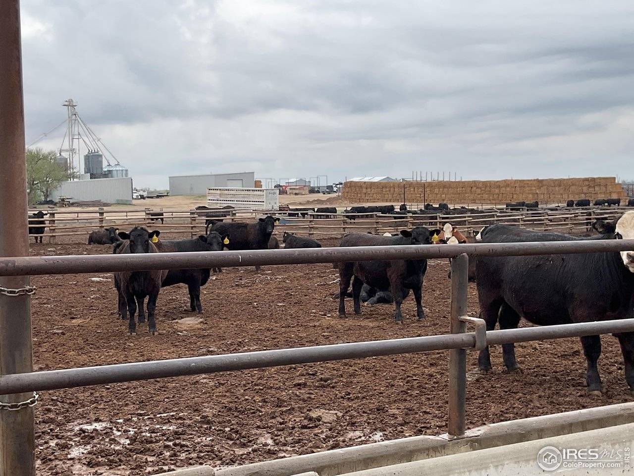 0 Hwy, Kit Carson, CO 80825
