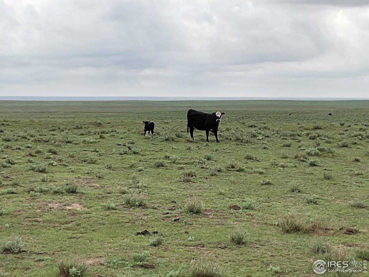 0 Hwy, Kit Carson, CO 80825