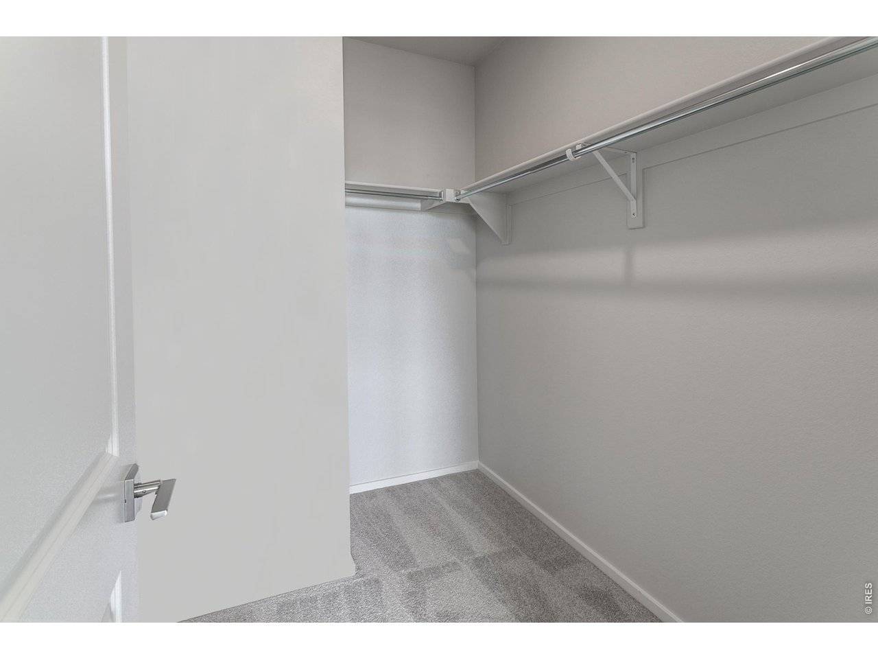 792 Chatter, Windsor, CO 80550