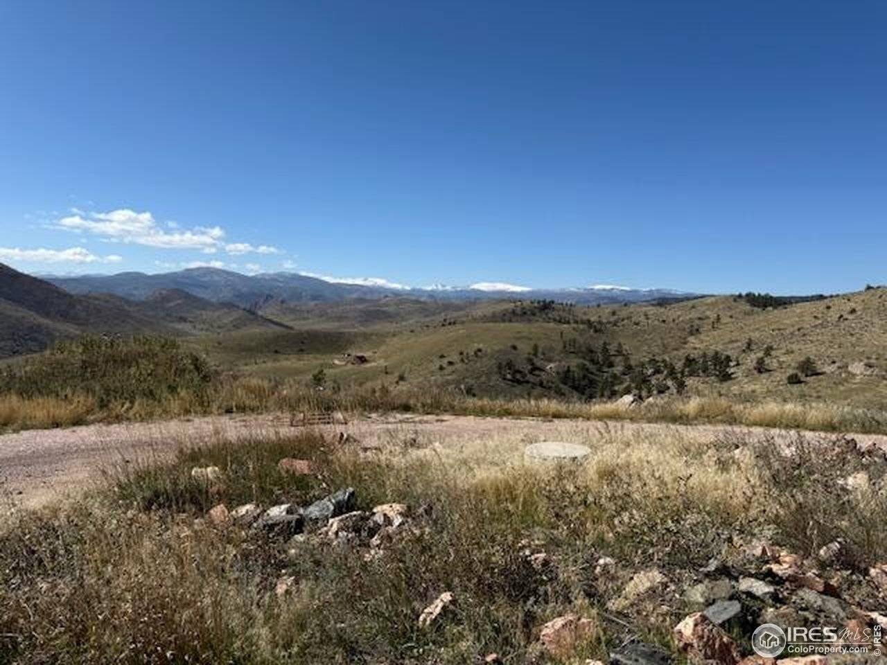 1049 Hewlett Gulch, Livermore, CO 80536