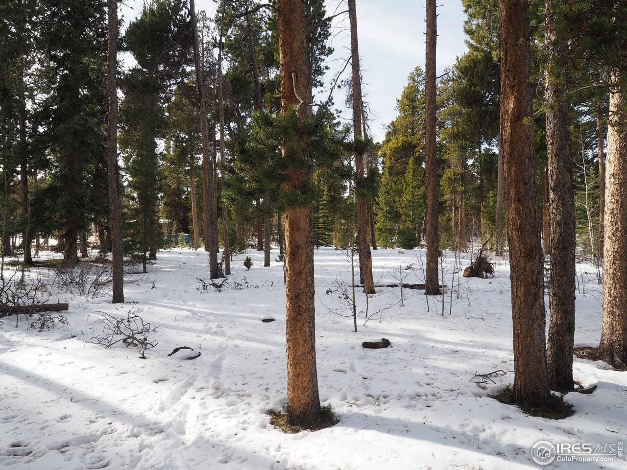 0 Long Trail, Black Hawk, CO 80422