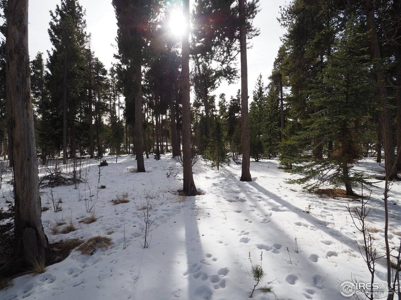 0 Long Trail, Black Hawk, CO 80422