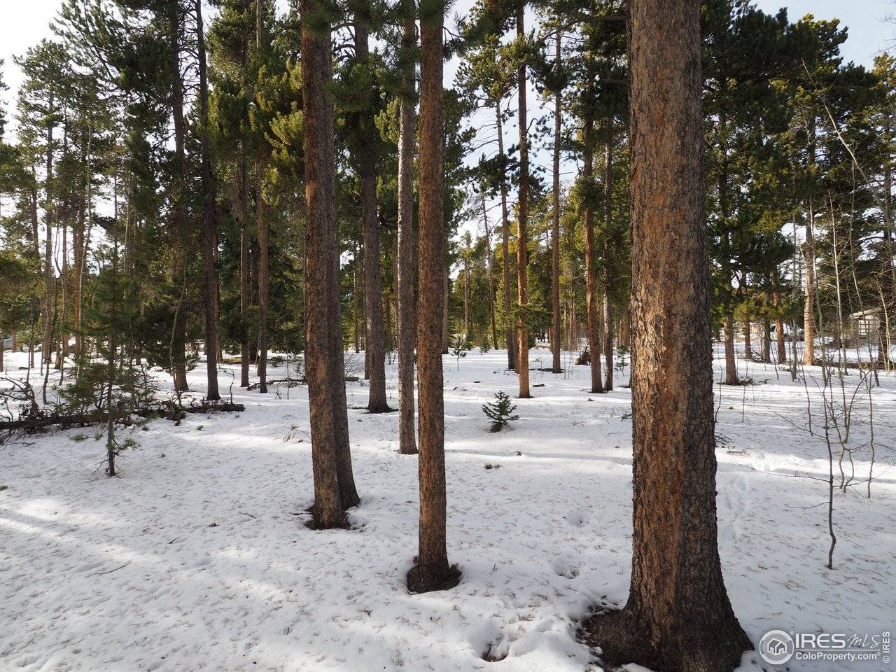 0 Long Trail, Black Hawk, CO 80422