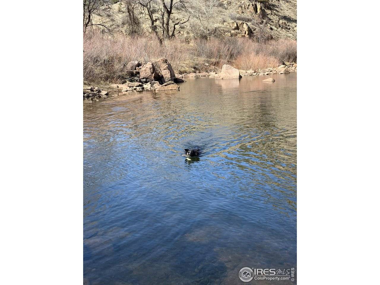 0 Longmont Dam #2, Lyons, CO 80540