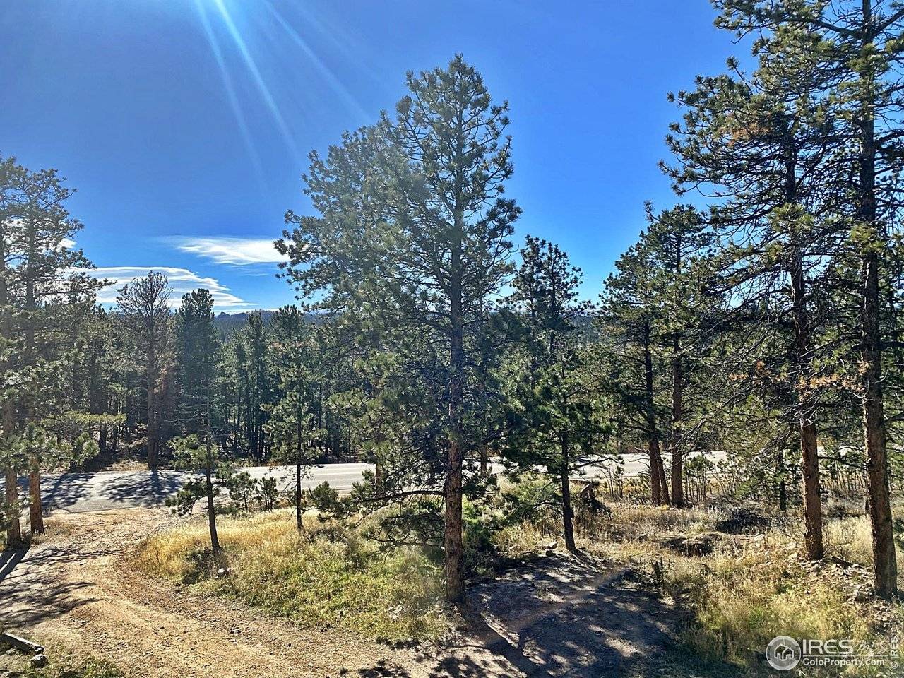 24192 W County Road 74e, Red Feather Lakes, CO 80545