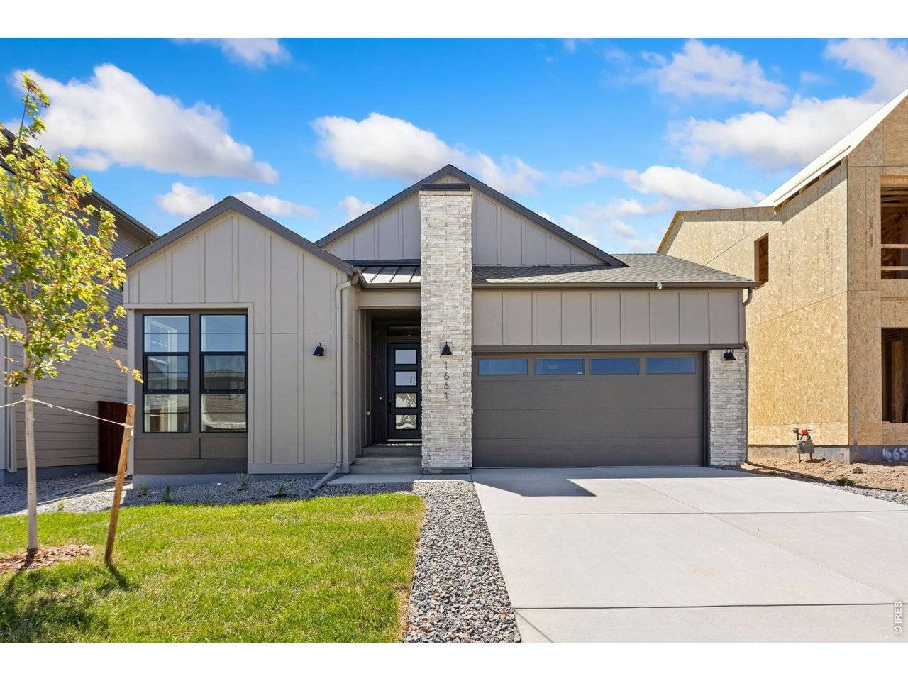 1661 Winter Glow, Windsor, CO 80550