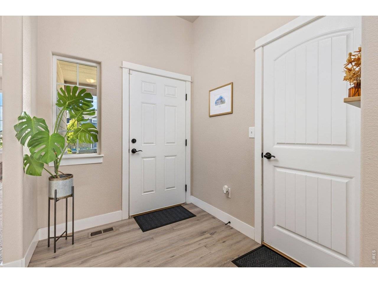 1504 Morning Glow, Windsor, CO 80550