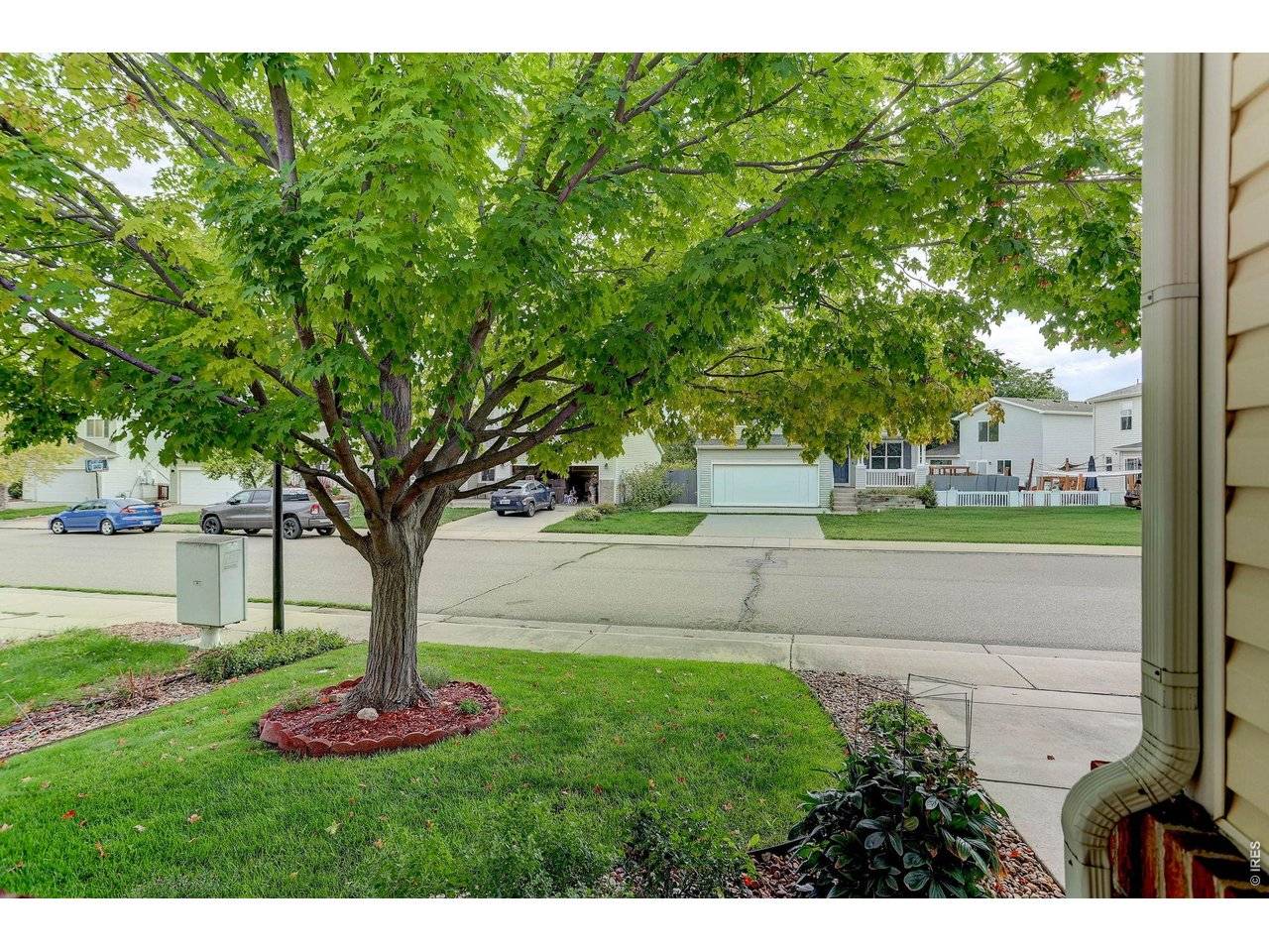 1211 Spring Creek, Longmont, CO 80504