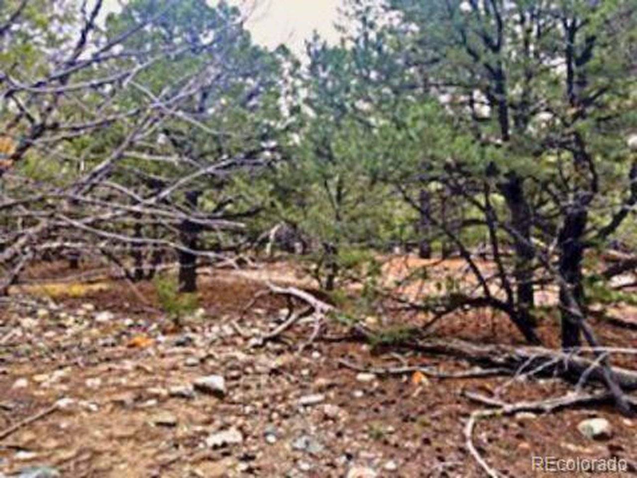 Mill Run, Mosca, CO 81146