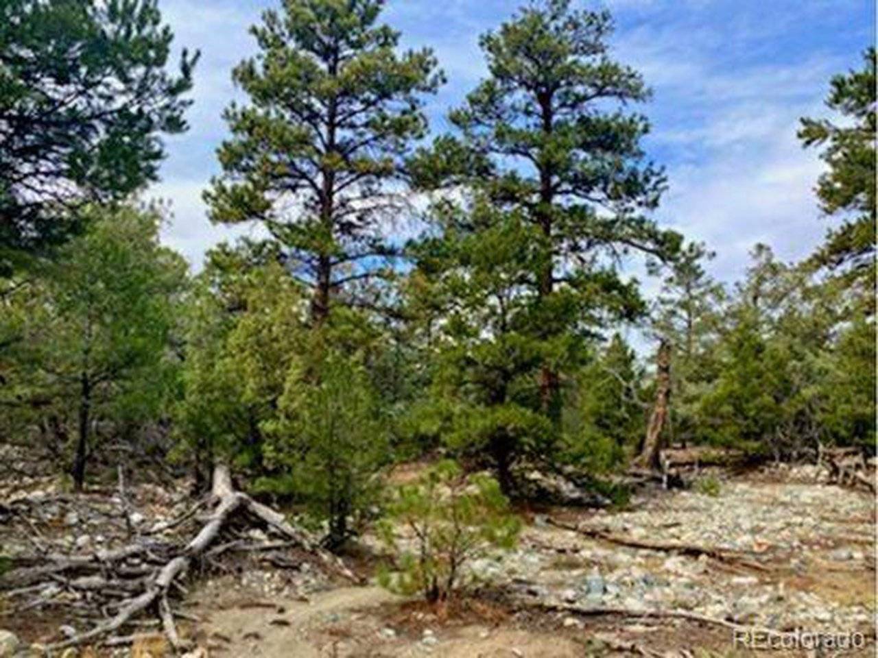 Mill Run, Mosca, CO 81146