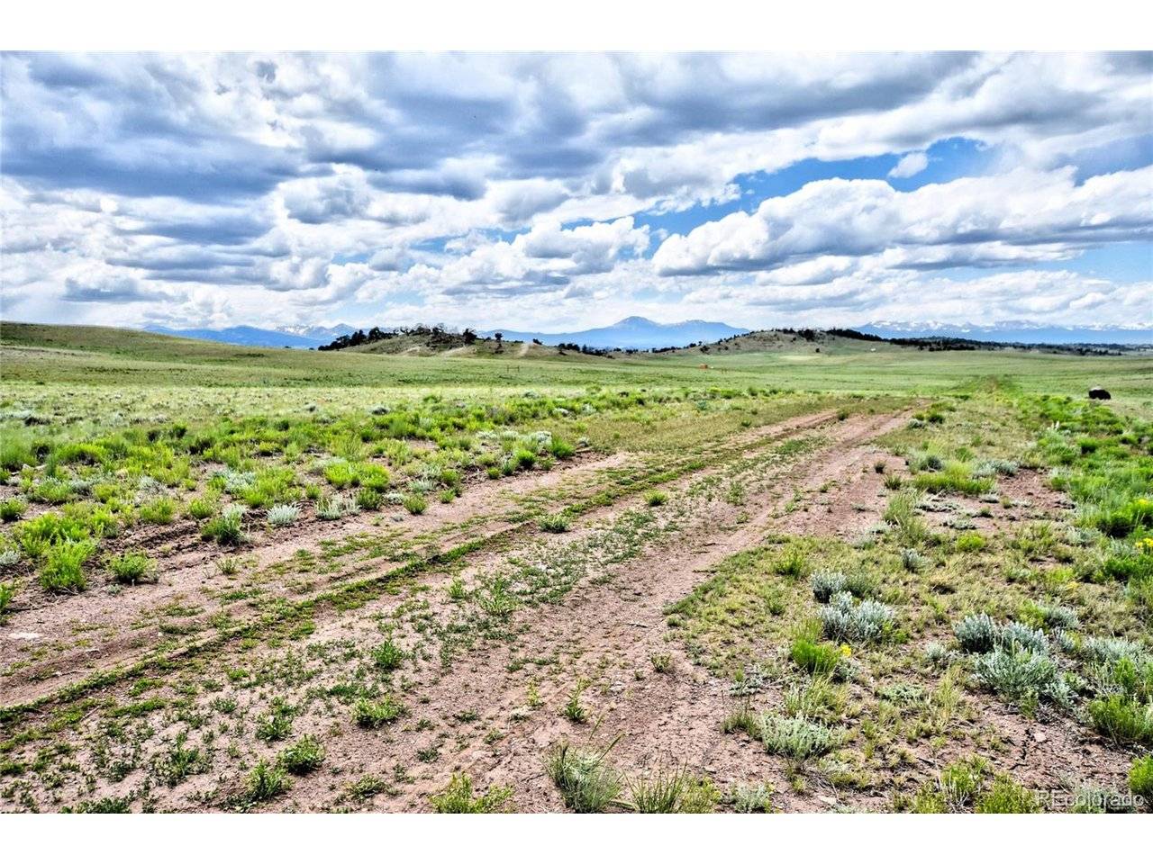 1238 Chicha, Hartsel, CO 80449