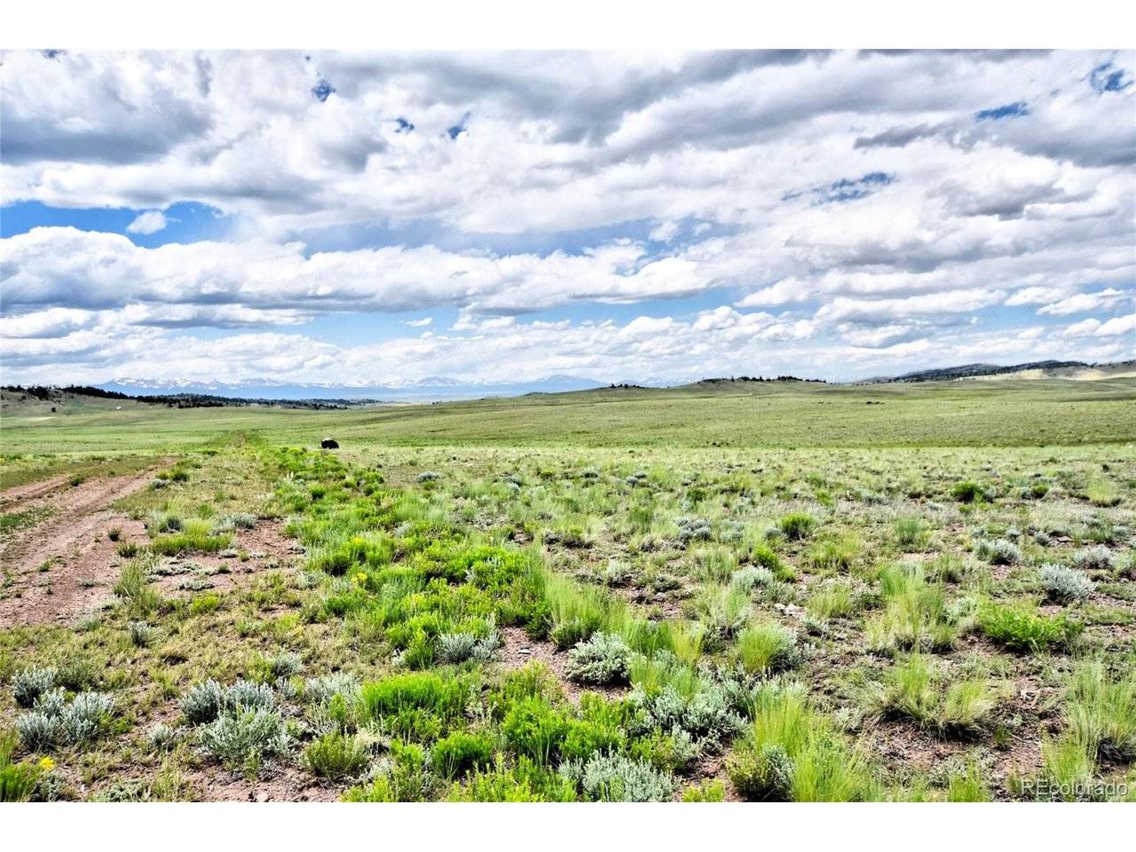 1238 Chicha, Hartsel, CO 80449