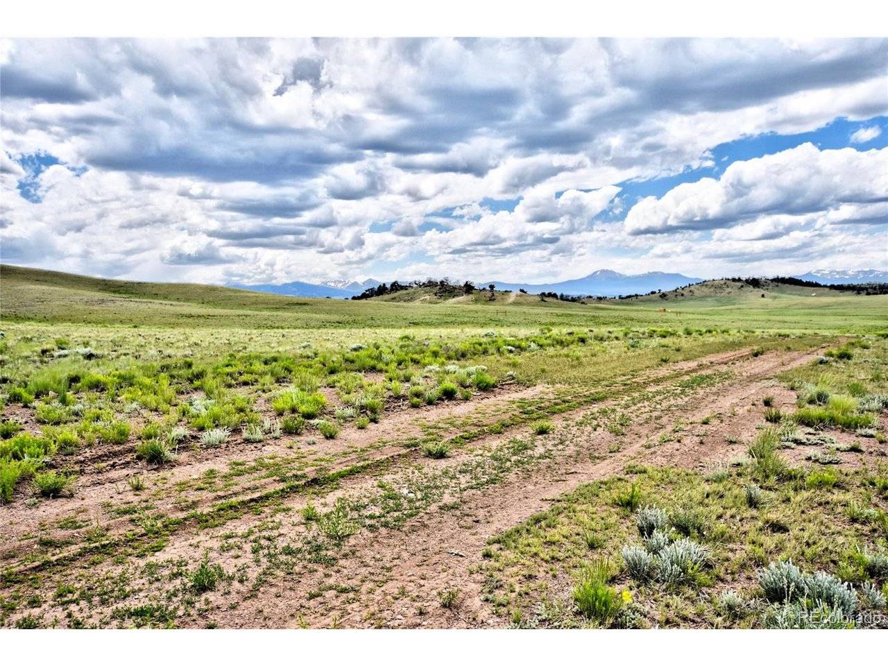 1238 Chicha, Hartsel, CO 80449