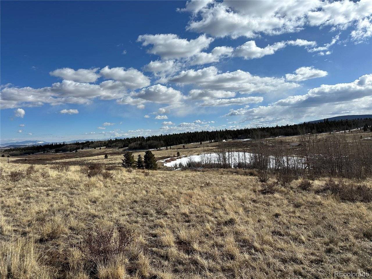 Foxtail, Fairplay, CO 80440