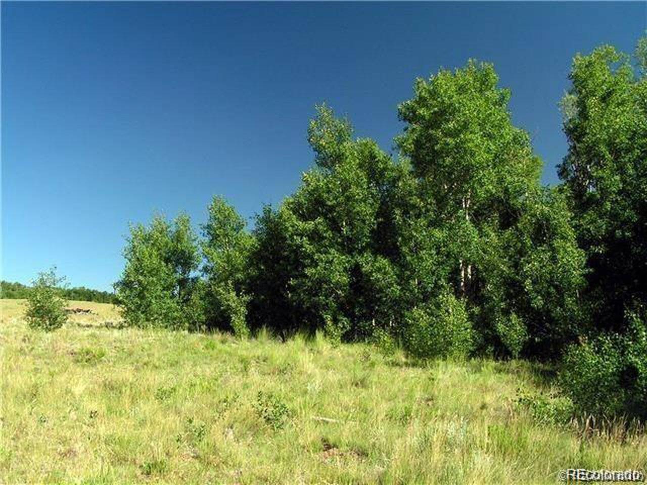 Foxtail, Fairplay, CO 80440