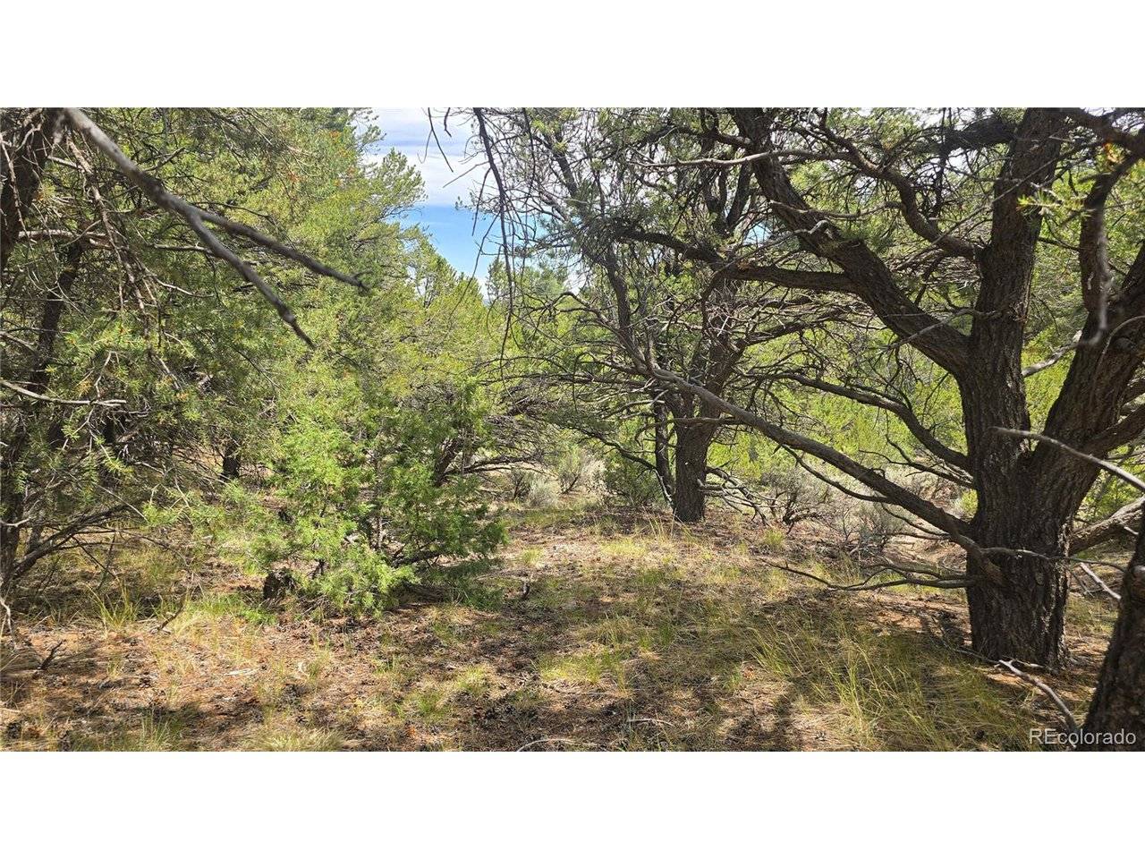 7892 Tiernan, Fort Garland, CO 81133