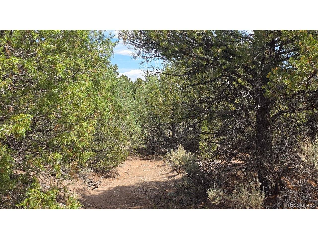 7892 Tiernan, Fort Garland, CO 81133