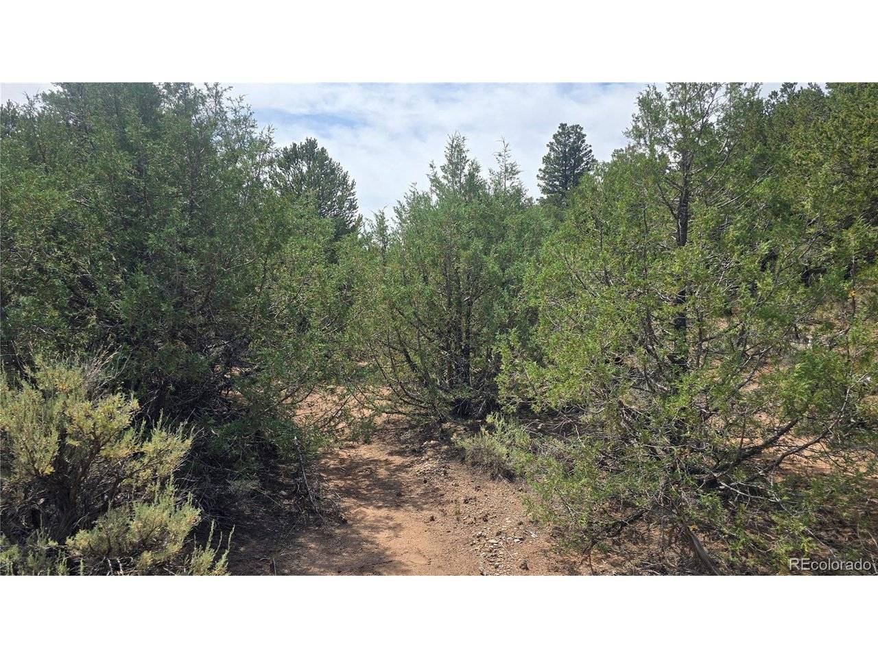 7892 Tiernan, Fort Garland, CO 81133