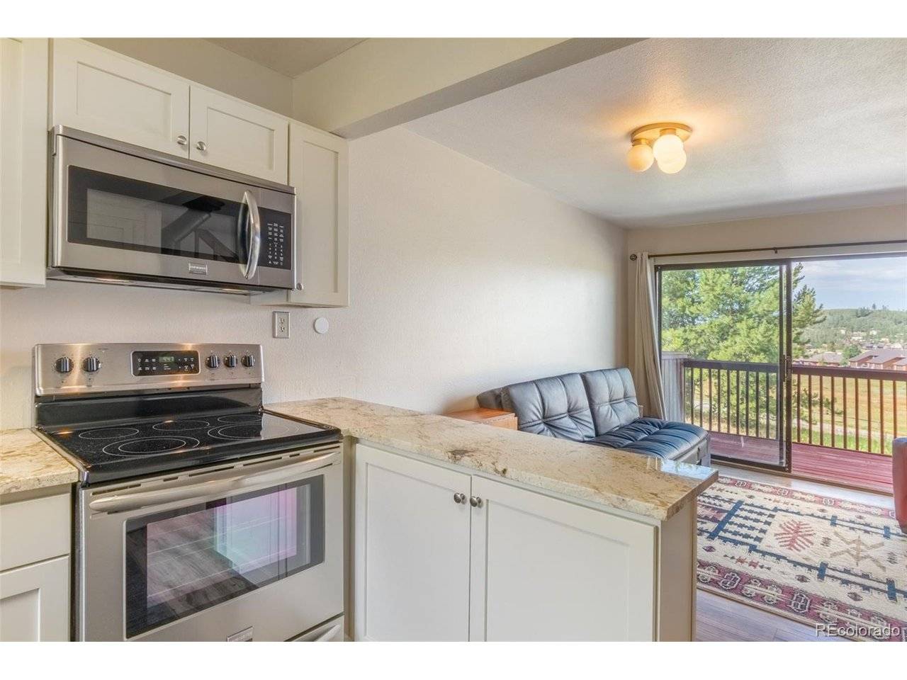 152 County Road 442 #2C, Grand Lake, CO 80447