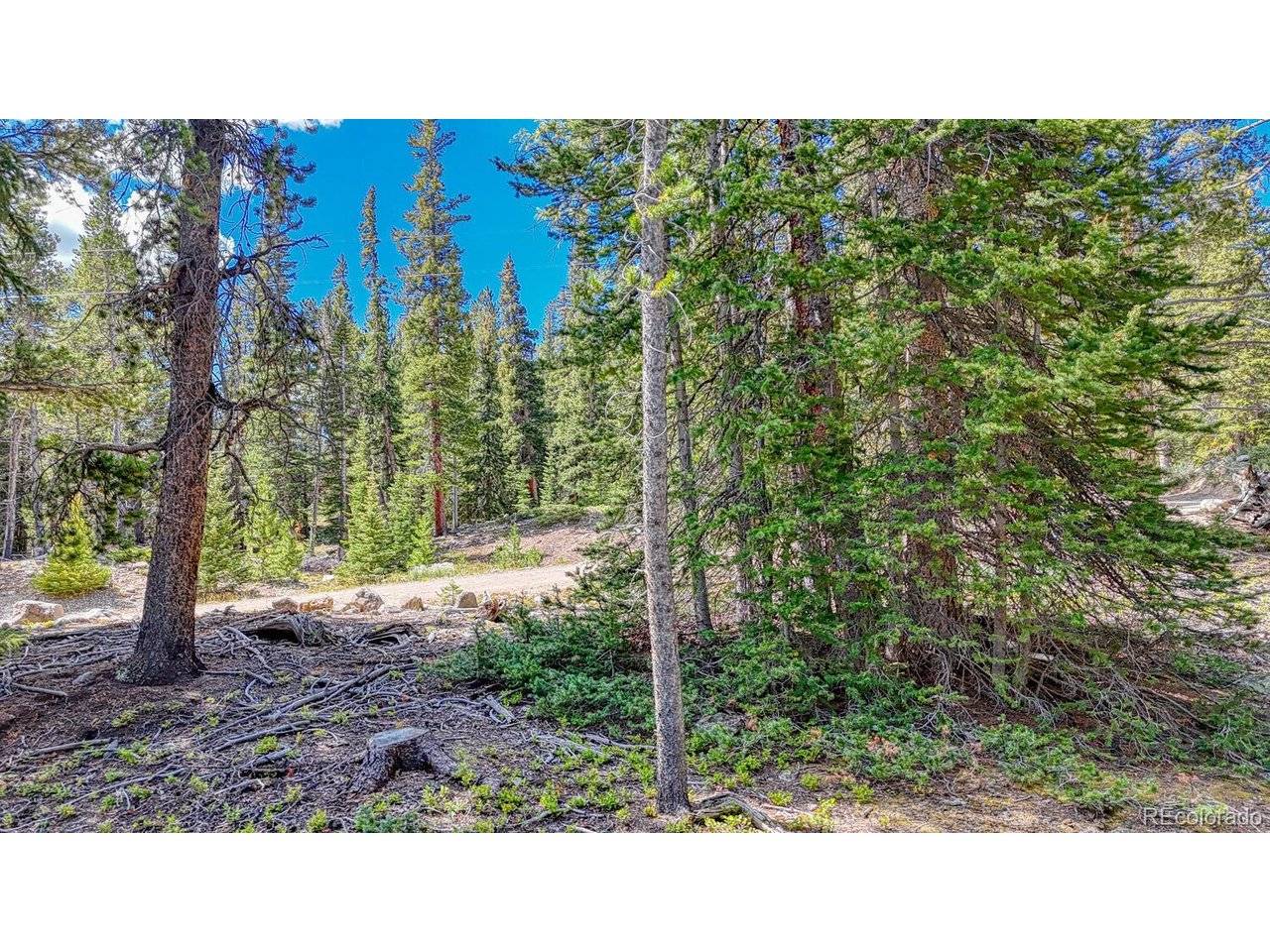 126 Gold Trail Cutoff, Fairplay, CO 80440
