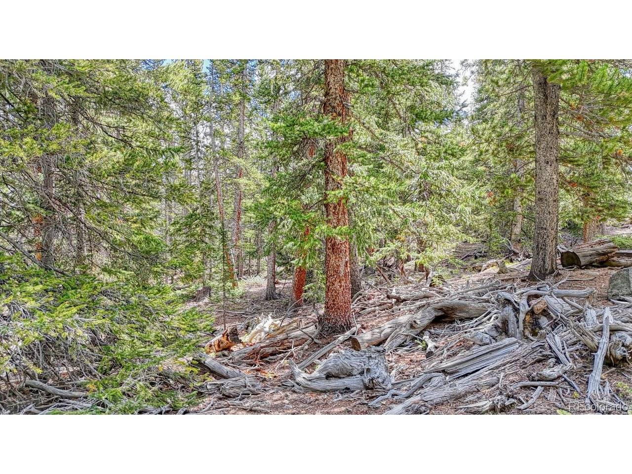 126 Gold Trail Cutoff, Fairplay, CO 80440