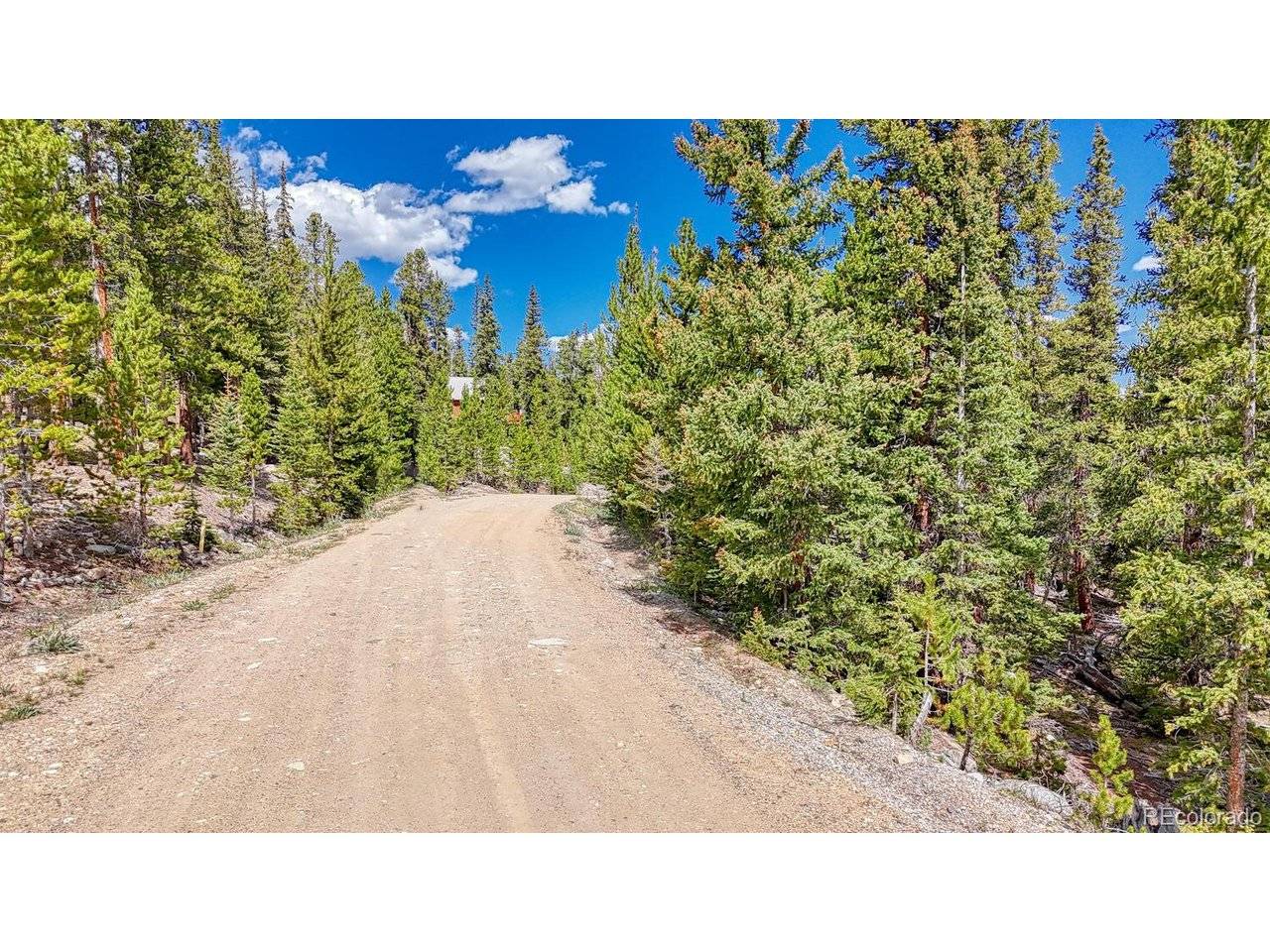 126 Gold Trail Cutoff, Fairplay, CO 80440