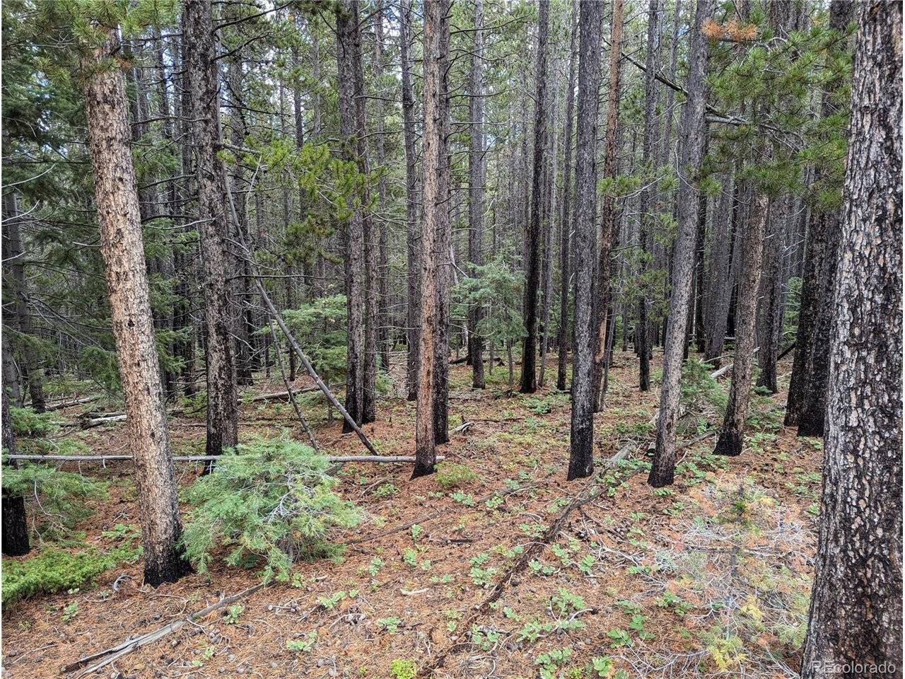 3022 Bolwell, Fort Garland, CO 81133