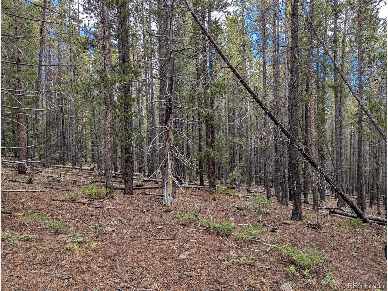 3022 Bolwell, Fort Garland, CO 81133