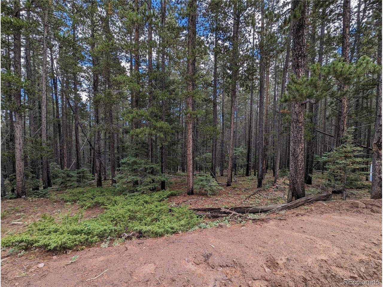 3022 Bolwell, Fort Garland, CO 81133