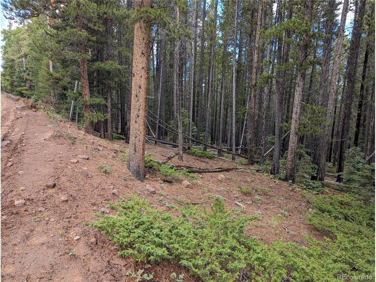 3022 Bolwell, Fort Garland, CO 81133