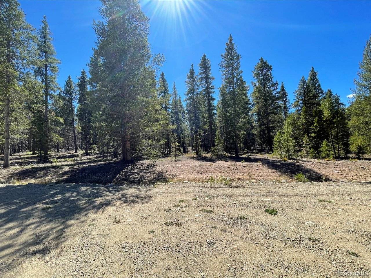 251 Virginia, Leadville, CO 80461
