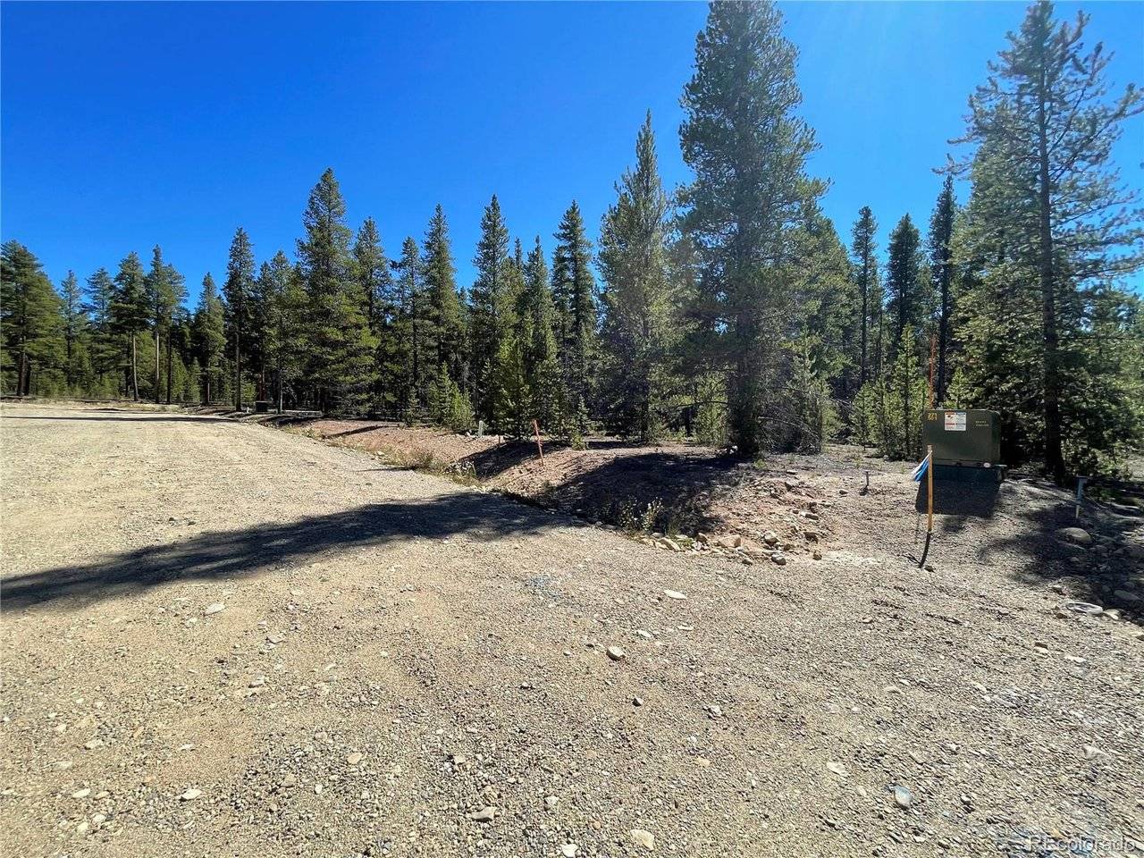 251 Virginia, Leadville, CO 80461