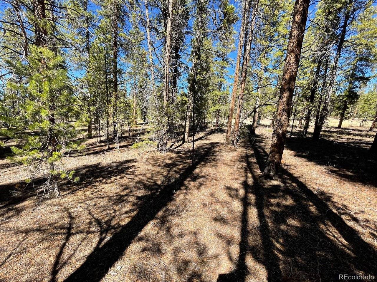 251 Virginia, Leadville, CO 80461
