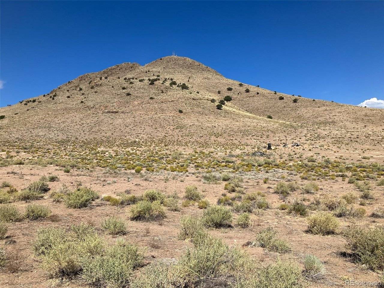 Spruce, Del Norte, CO 81132