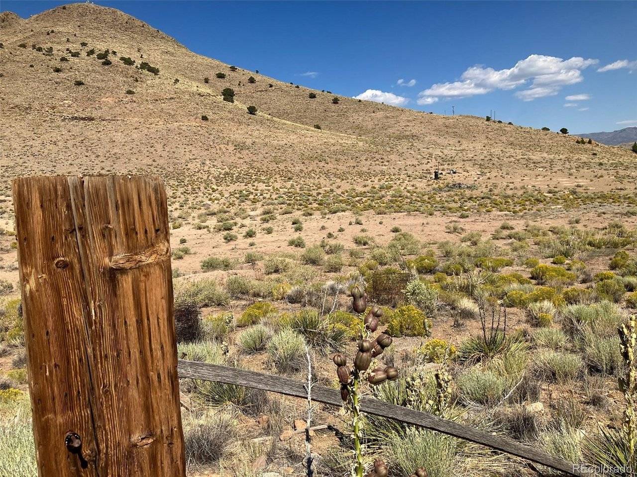Spruce, Del Norte, CO 81132