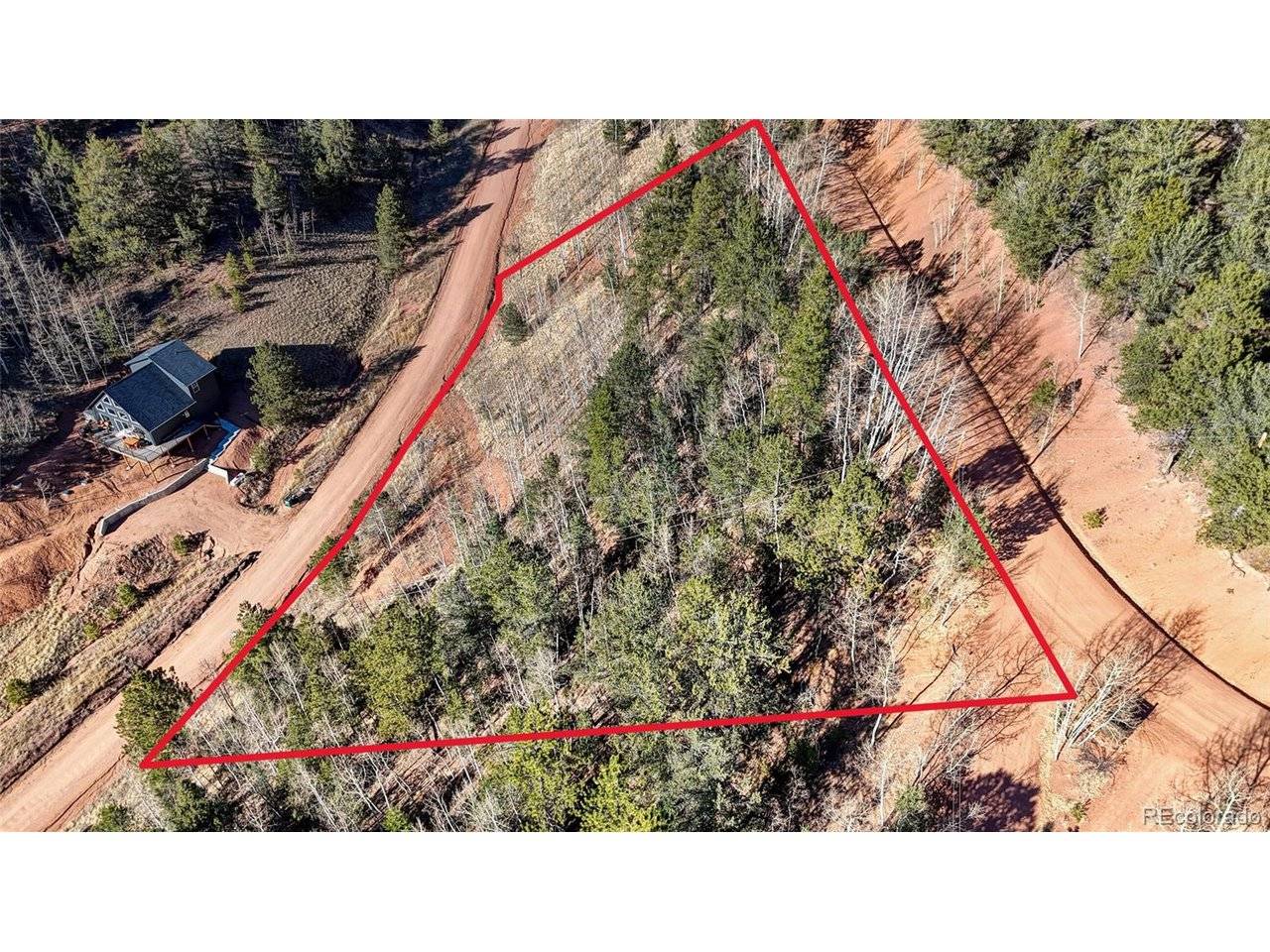 80 Beaver Pond, Divide, CO 80814