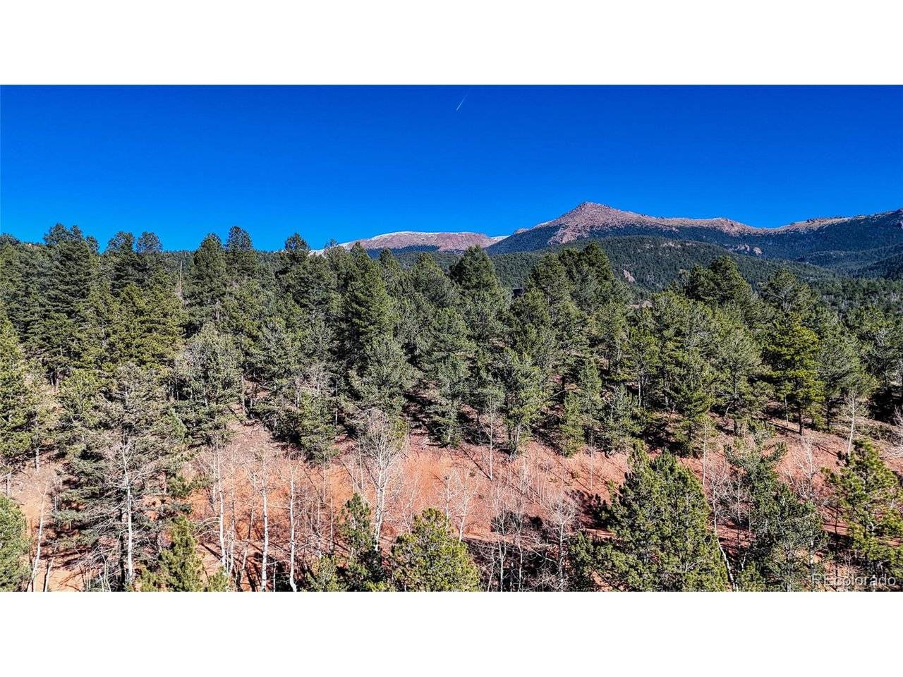 80 Beaver Pond, Divide, CO 80814