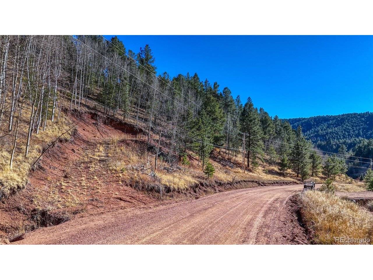 80 Beaver Pond, Divide, CO 80814