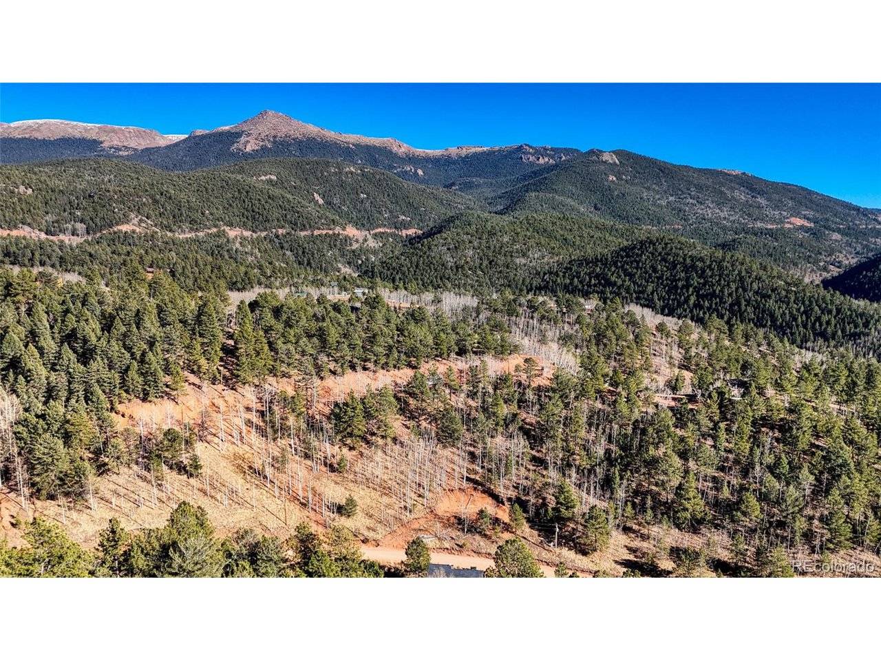 80 Beaver Pond, Divide, CO 80814