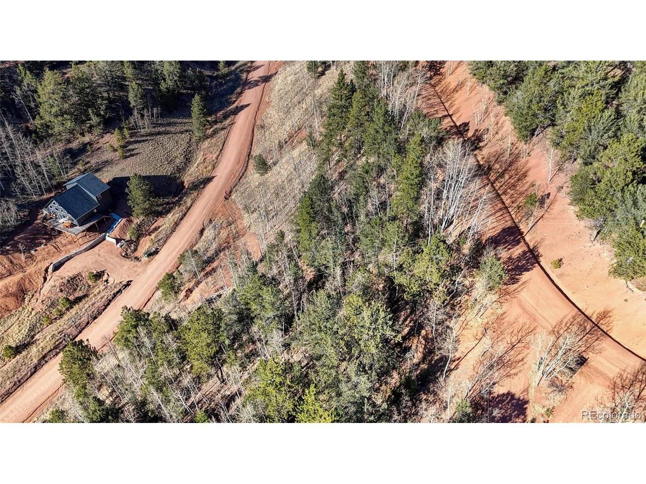 80 Beaver Pond, Divide, CO 80814