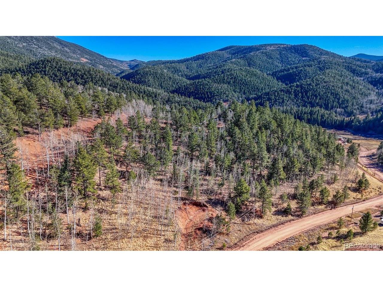 80 Beaver Pond, Divide, CO 80814