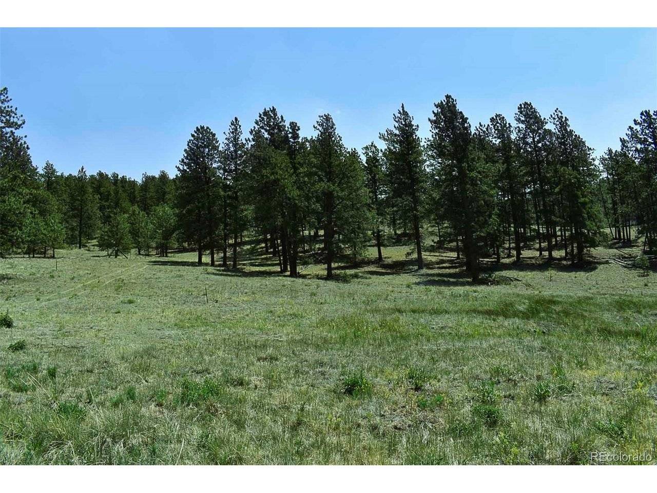 0 6th, Guffey, CO 80820