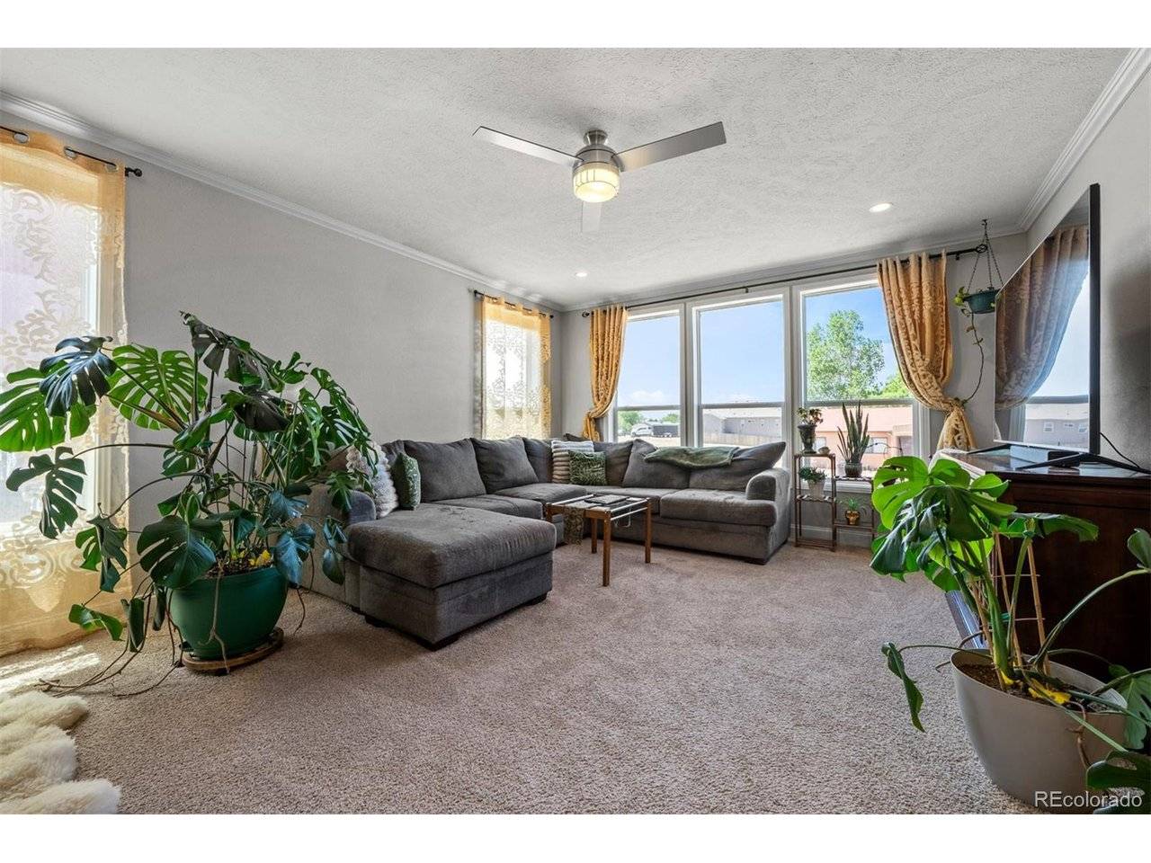 279 W Acorn, Pueblo West, CO 81007