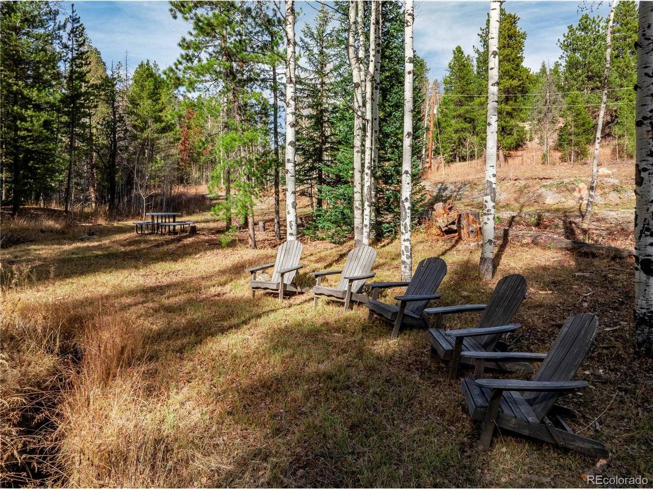216620 Indian Springs, Conifer, CO 80433