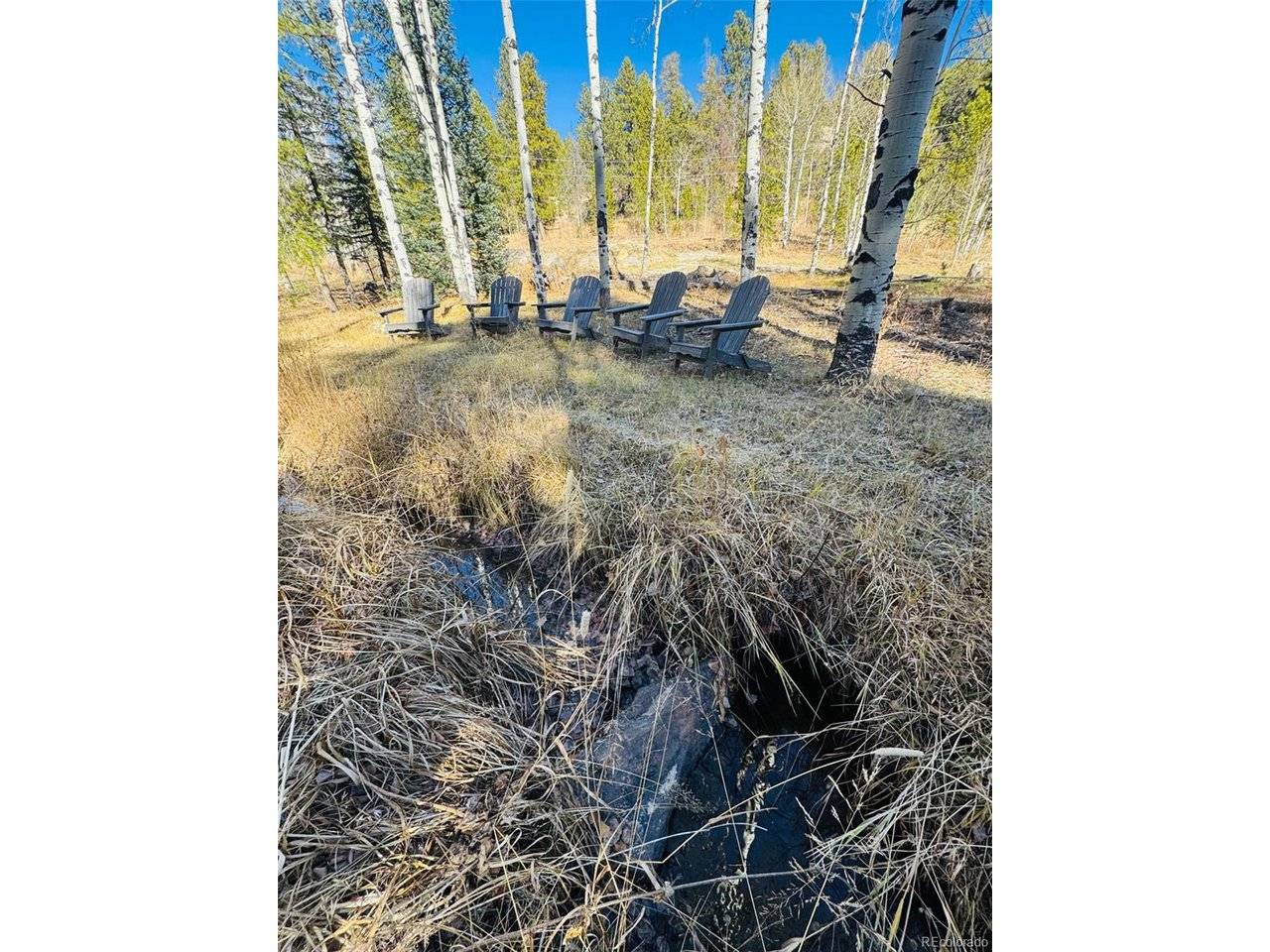 216620 Indian Springs, Conifer, CO 80433
