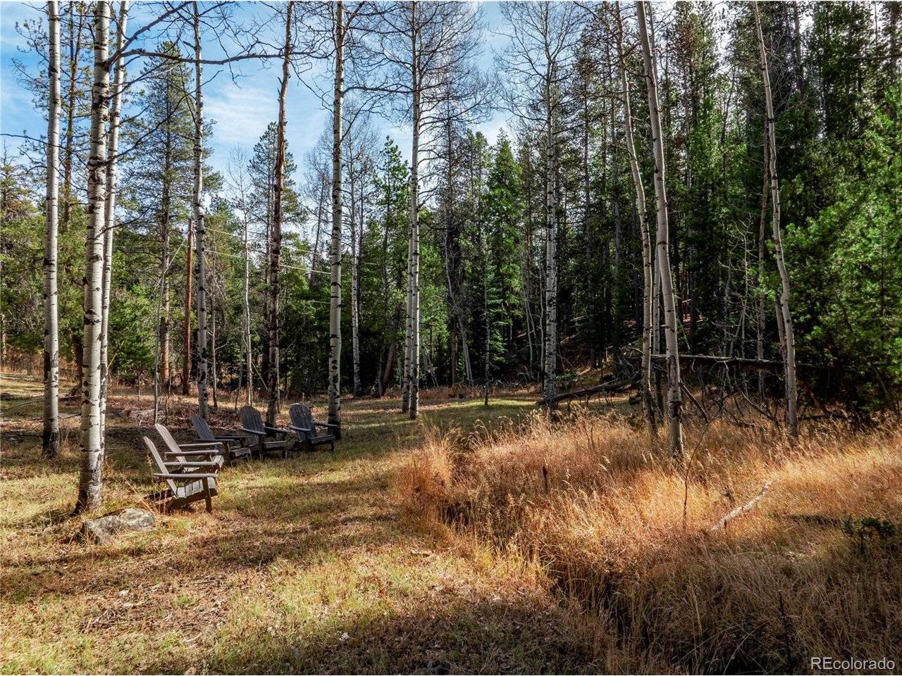 216620 Indian Springs, Conifer, CO 80433
