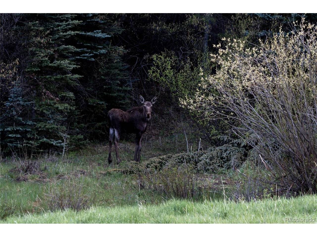 Address not disclosed, Evergreen, CO 80439