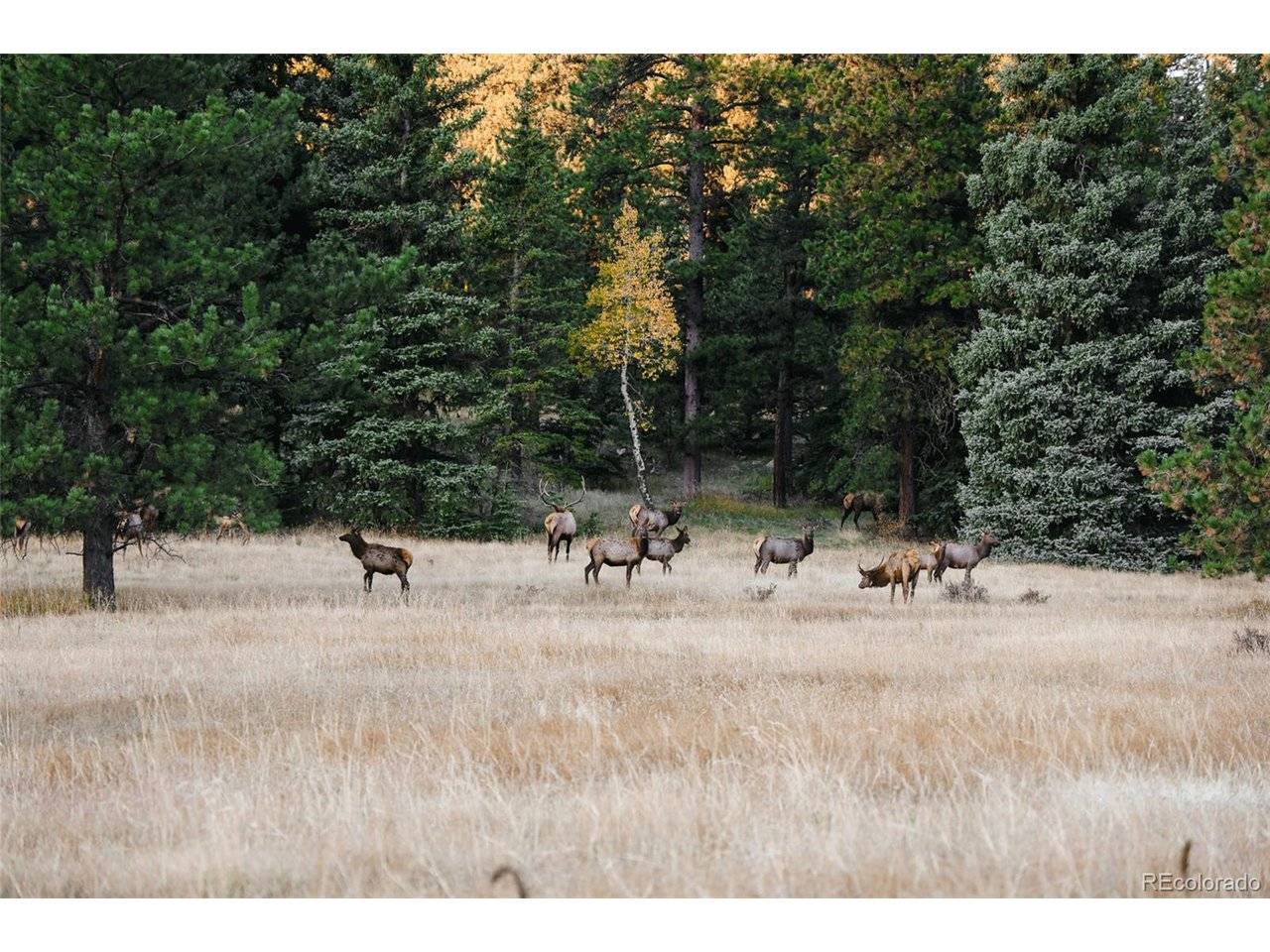 Address not disclosed, Evergreen, CO 80439