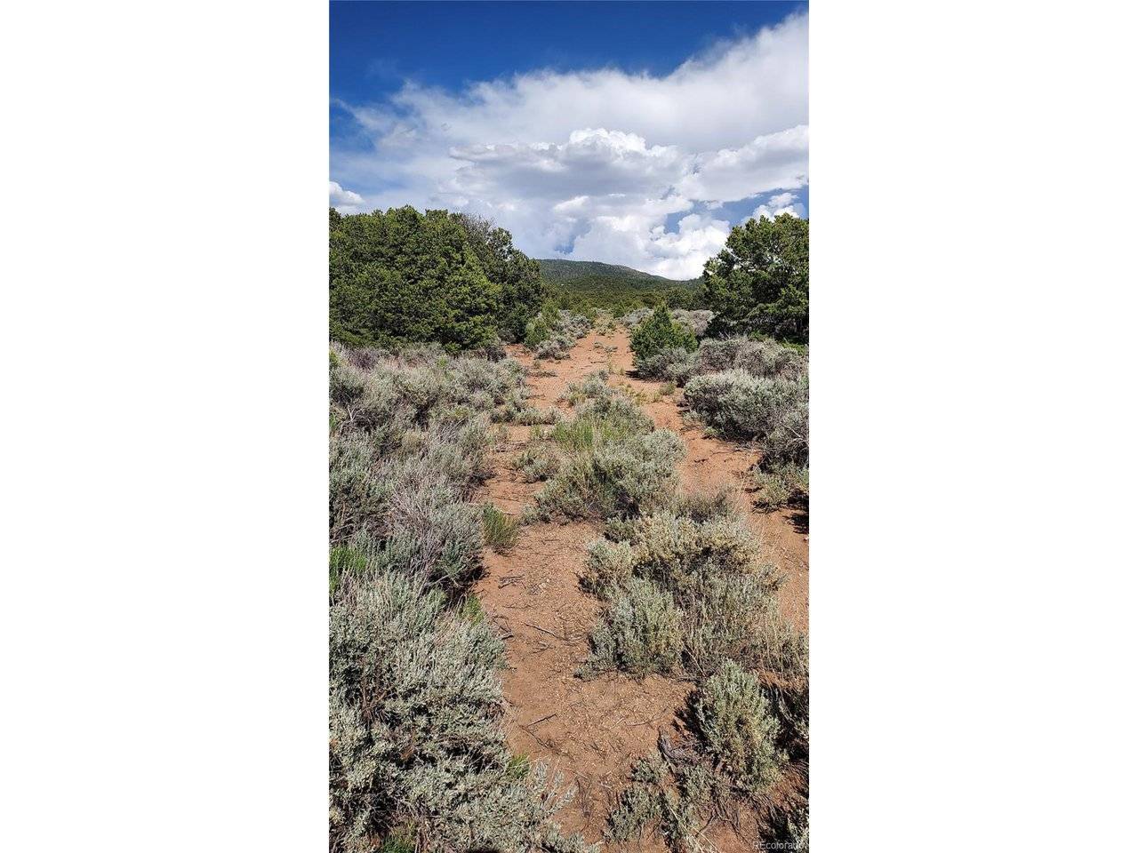 Stevenson, San Luis, CO 81152